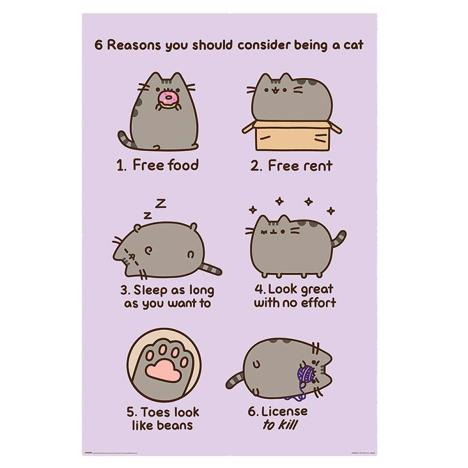 Pusheen Reasons to be a Cat Maxi Poster £4.49